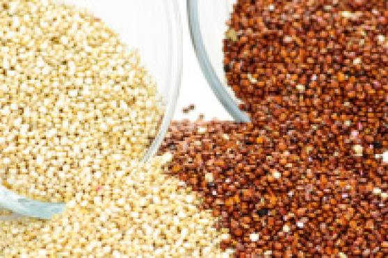 Photo: Bowls of white and red quinoa